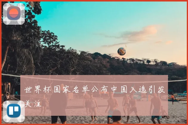 世界杯国家名单公布中国入选引发关注