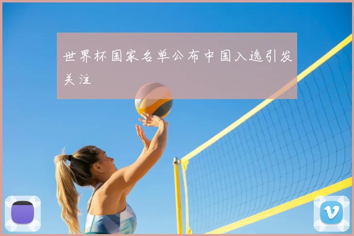 世界杯国家名单公布中国入选引发关注