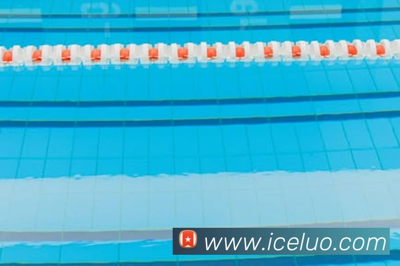 半岛综合官网平台生态图