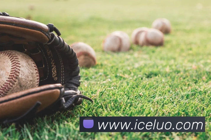 半岛综合官网APP 封面图